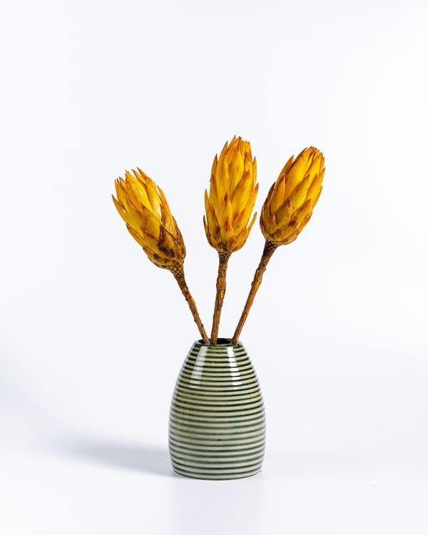 Protea Repens Gul – 3 St., Flora Grossist, torkade-blommor