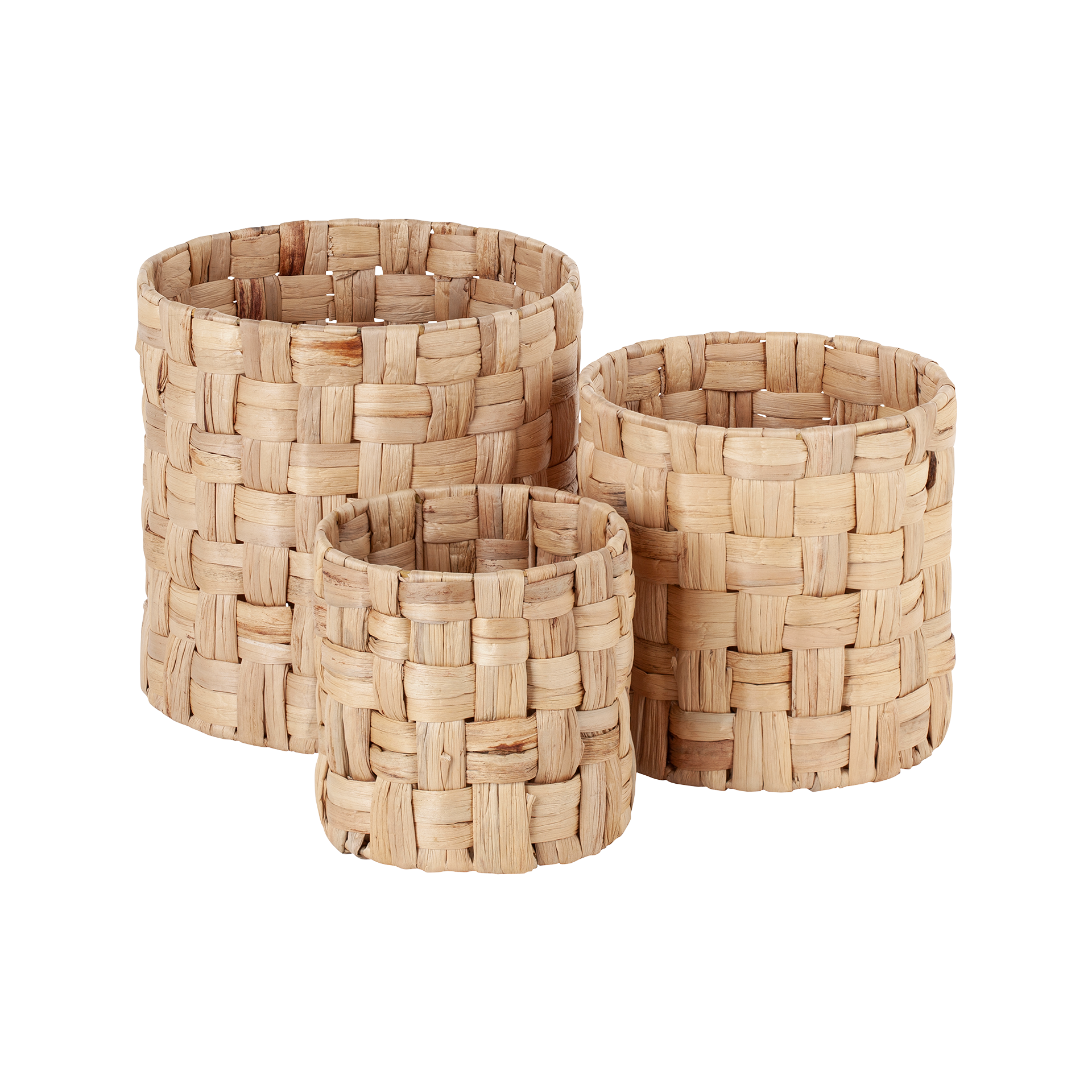 Cylinder Panama Lily S/3, Dixie, korgar