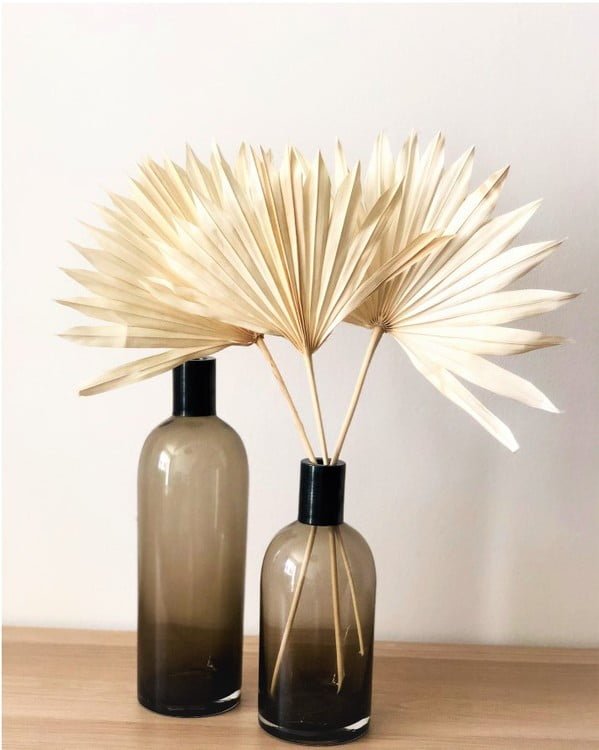 Palm Sun Blekt Vit – Torkade Blommor, Flora Grossist, torkade-blommor