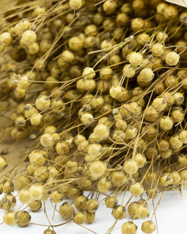 Lin Naturell – Torkade Blommor, Flora Grossist, torkade-blommor