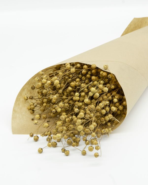 Lin Naturell – Torkade Blommor, Flora Grossist, torkade-blommor