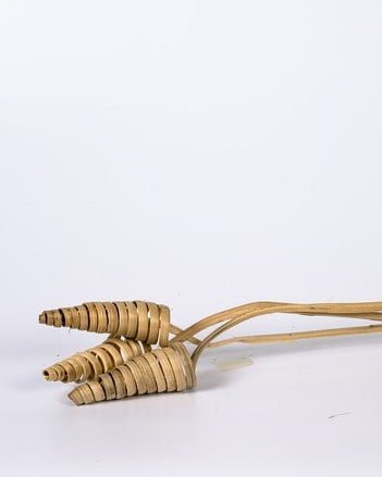 Cane Cone – Naturell, Flora Grossist, torkade-blommor