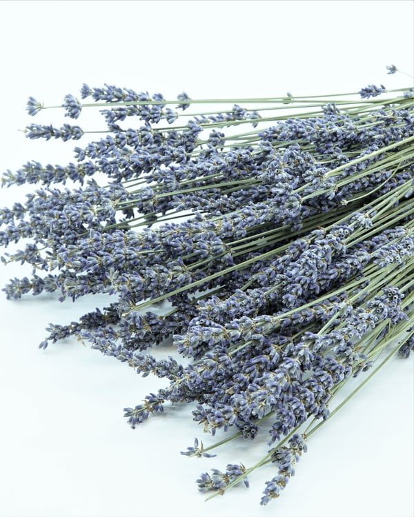 Lavendel Naturell Super- Torkade Blommor, Flora Grossist, torkade-blommor