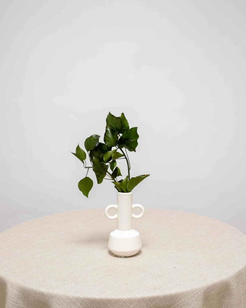 Liten Keramikvas med Handtag – Kräm, Flora Grossist, vaser-och-krukor