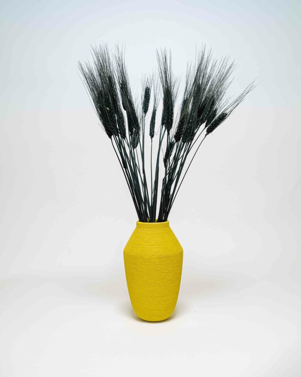 Vete Triticum Svart – Torkade Blommor, Flora Grossist, torkade-blommor