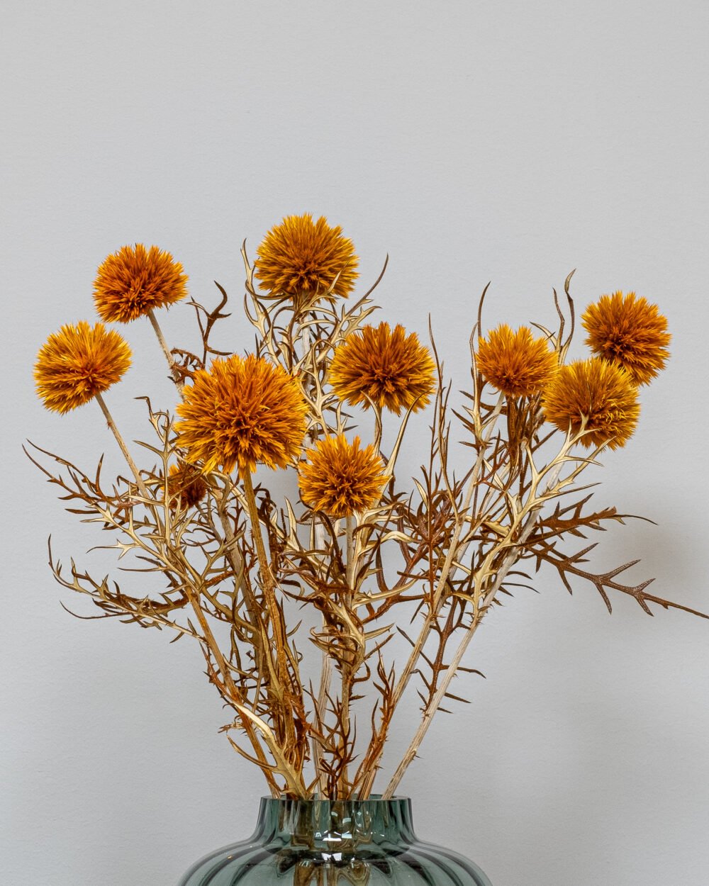 Bolltistel Gigant – Orange – Torkade Blommor, Flora Grossist, torkade-blommor