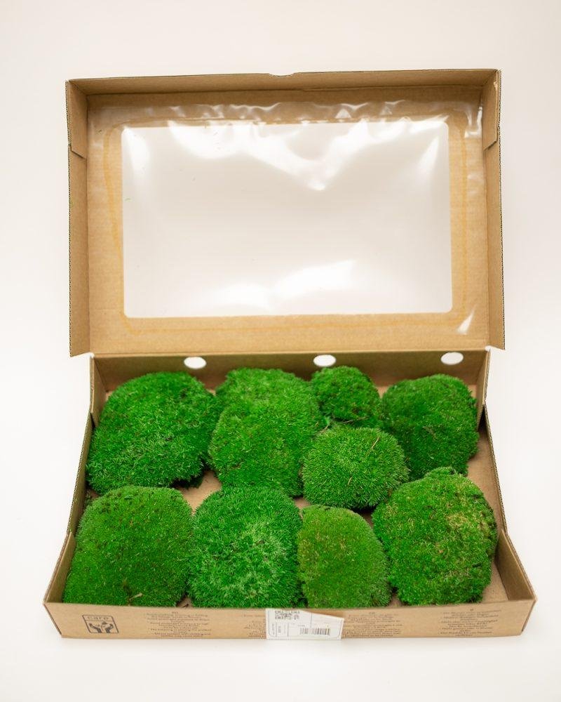 Bollmossa Grön – Konserverade Mossa, Flora Grossist, konserverade-blommor