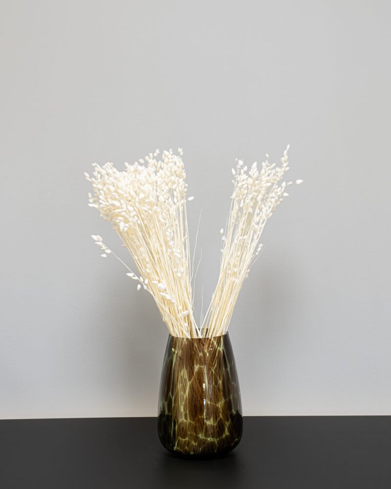 Briza Vit – Torkade Blommor, Flora Grossist, torkade-blommor