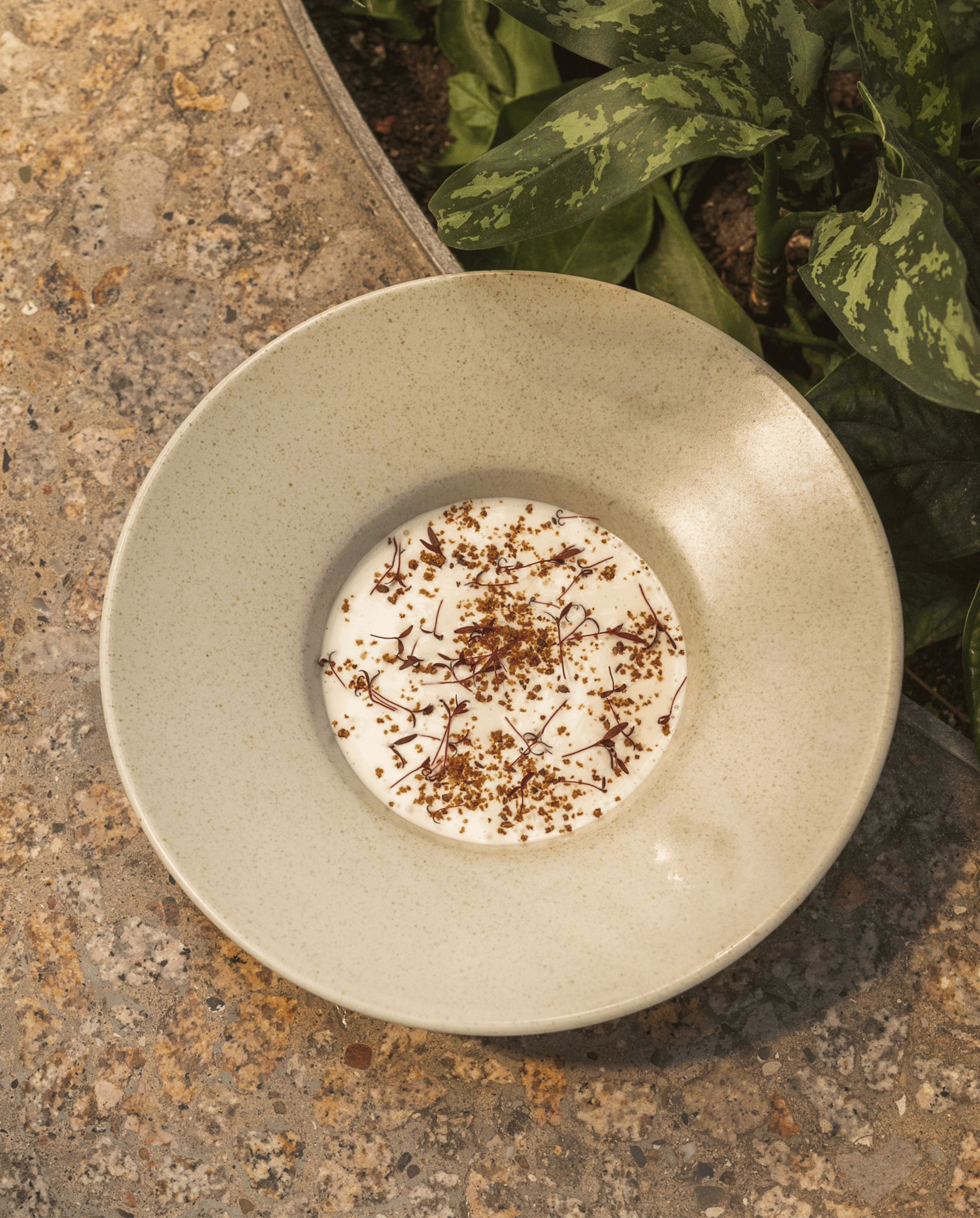 Grawa Pasta Plate, Ivory, Nordal, tallrikar och fat