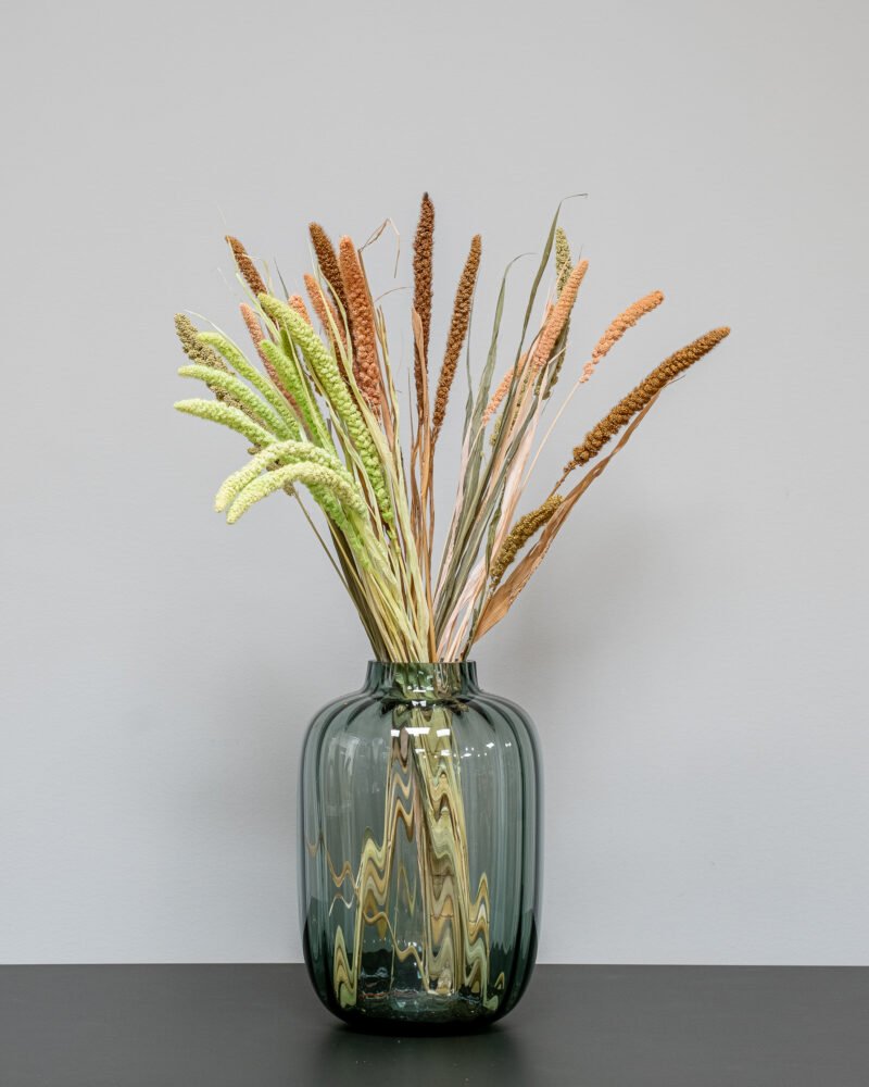 Setaria Mix Färg- Torkade Blommor, Flora Grossist, torkade-blommor