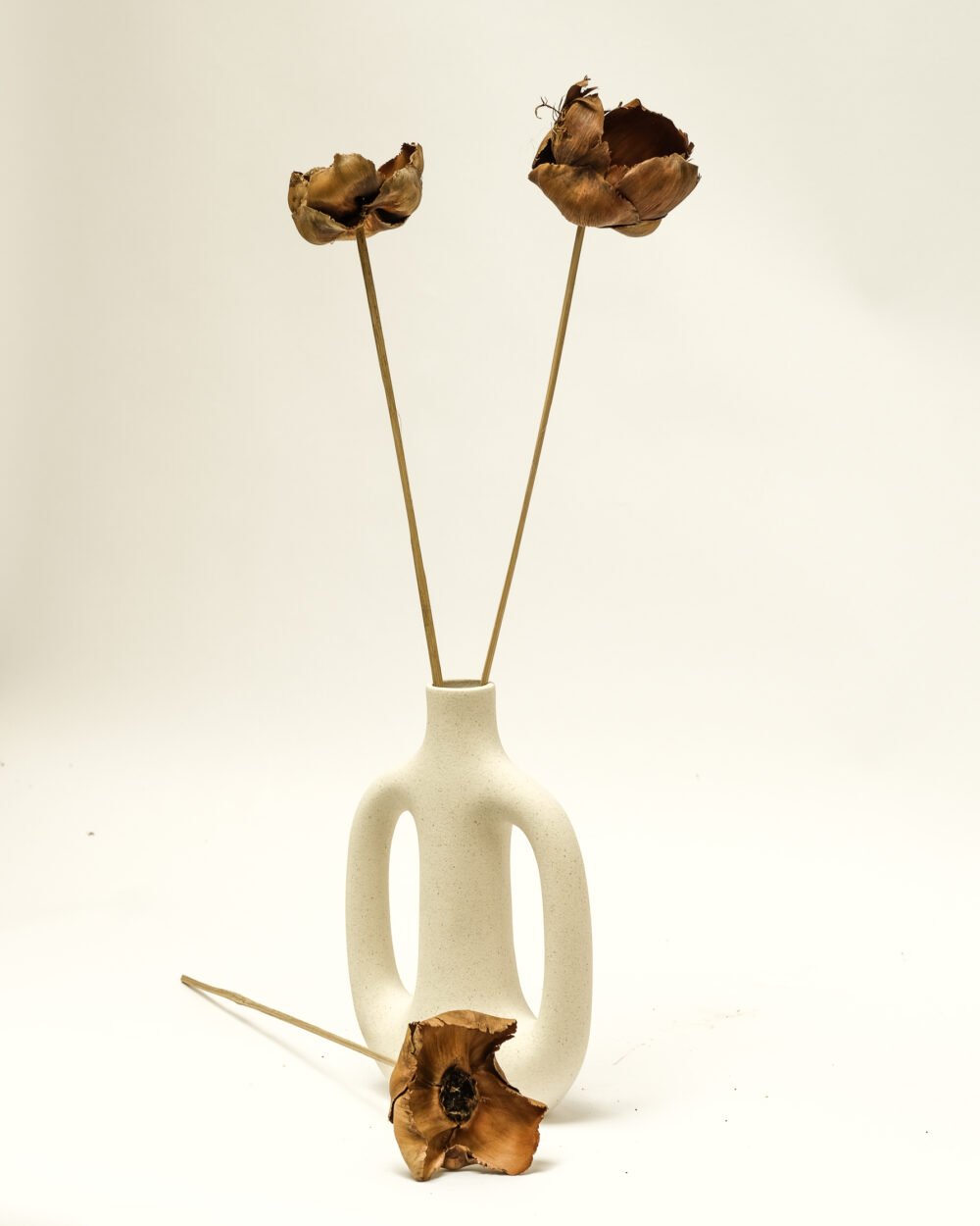 Palmcup Naturell – 3 St., Flora Grossist, torkade-blommor