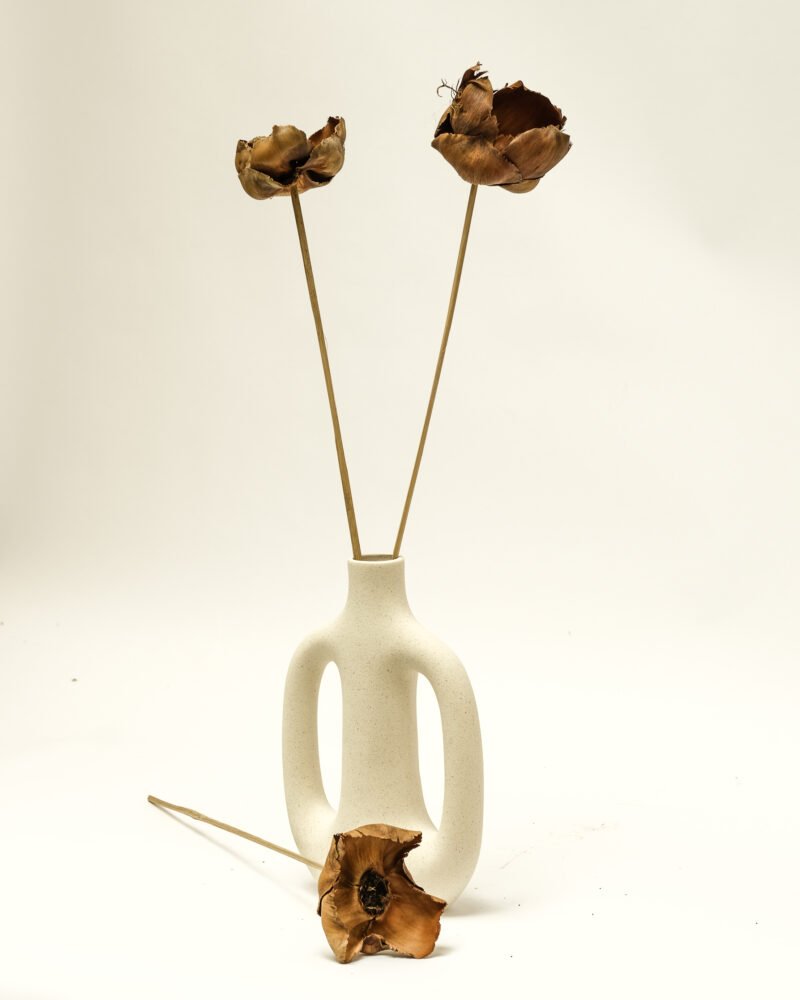 Palmcup Naturell – 3 St., Flora Grossist, torkade-blommor