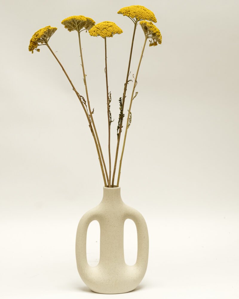 Achillea Naturell – 5 St, Flora Grossist, torkade-blommor