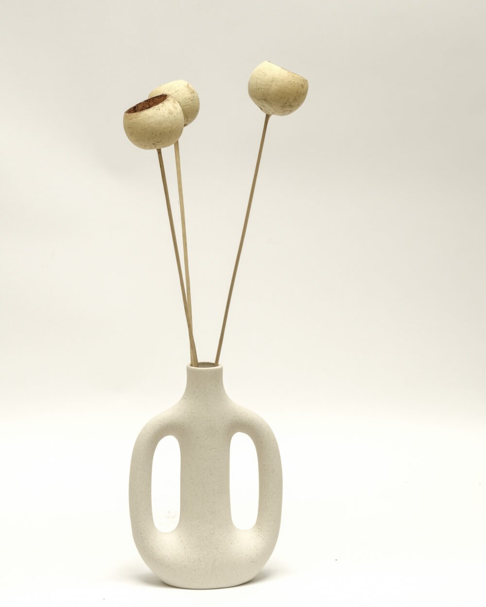 Bell Cup 3 St. – Naturell, Flora Grossist, torkade-blommor