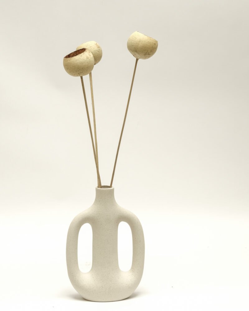 Bell Cup 3 St. – Naturell, Flora Grossist, torkade-blommor