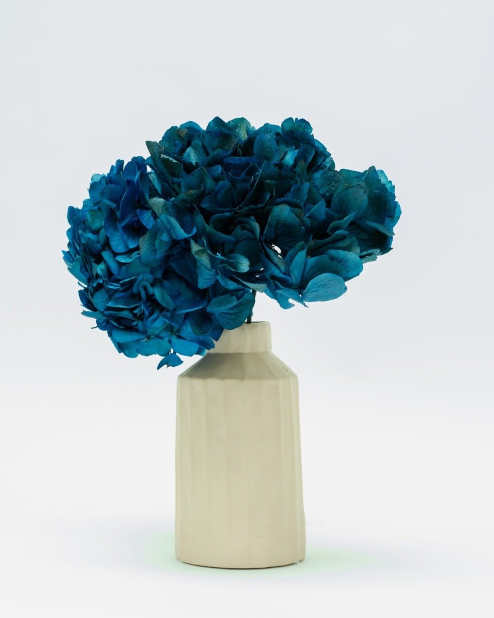 Konserverade Hortensia Mörkblå, Flora Grossist, konserverade-blommor