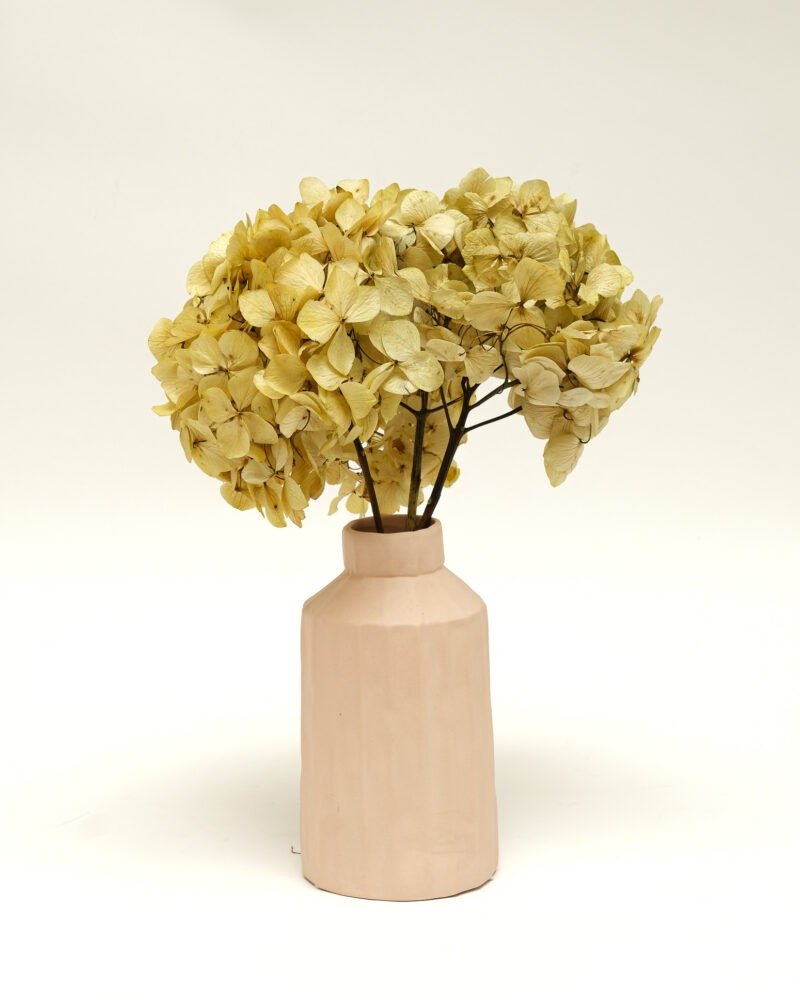 Konserverade Hortensia Naturell, Flora Grossist, konserverade-blommor
