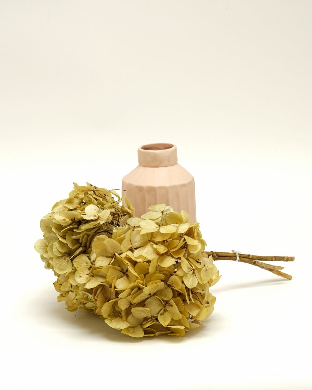 Konserverade Hortensia Naturell, Flora Grossist, konserverade-blommor