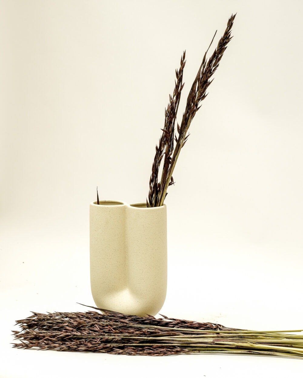 Havre Mörkbrun – Torkade Blommor, Flora Grossist, torkade-blommor