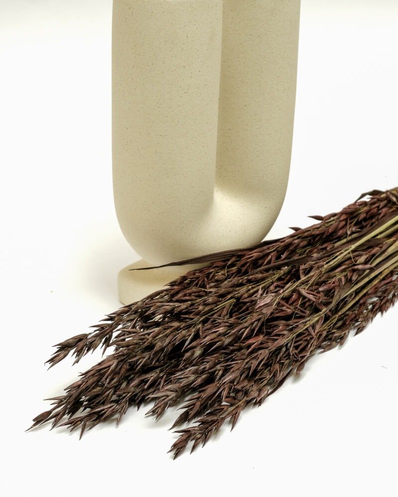 Havre Mörkbrun – Torkade Blommor, Flora Grossist, torkade-blommor