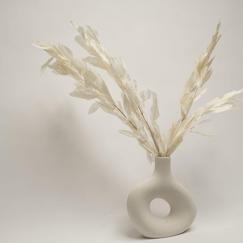 Ruscus Gigant – Blekt Vit, Flora Grossist, torkade-blommor