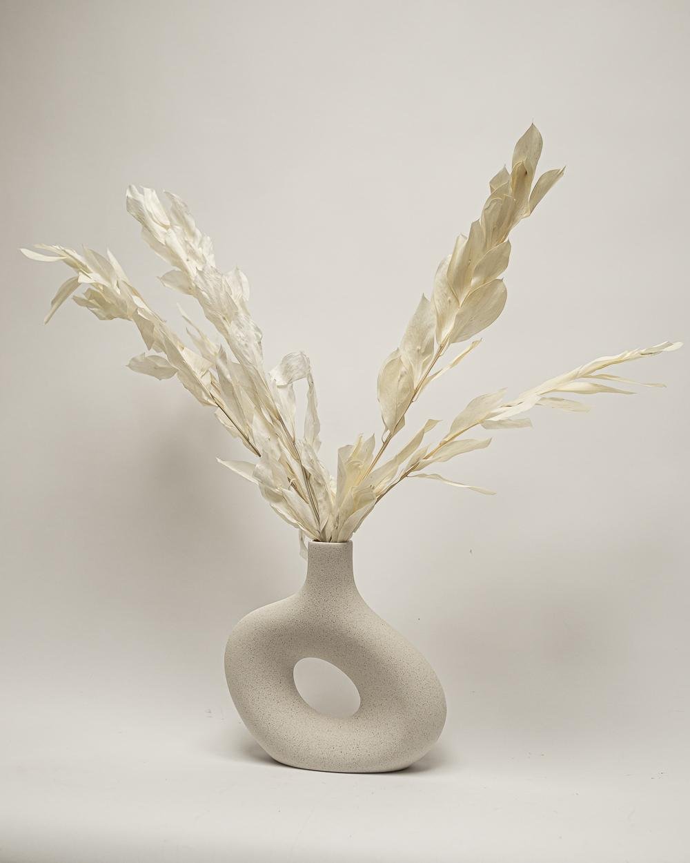 Ruscus Gigant – Blekt Vit, Flora Grossist, torkade-blommor