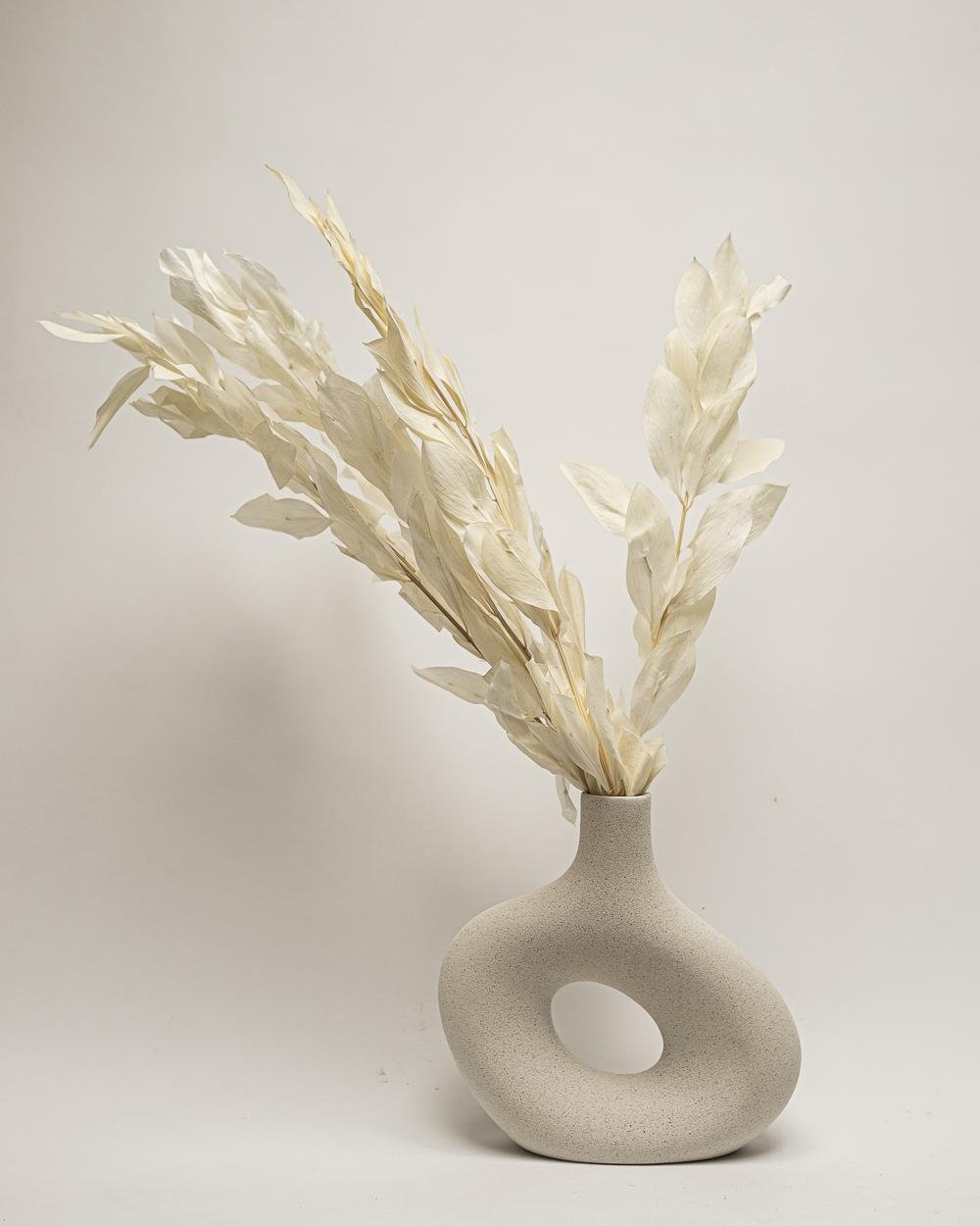 Ruscus Gigant – Blekt Vit, Flora Grossist, torkade-blommor