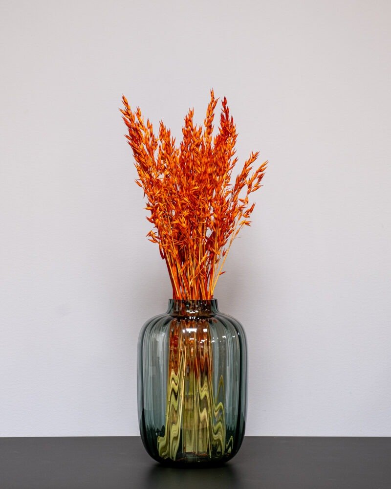 Havre Orange – Torkade Blommor, Flora Grossist, torkade-blommor