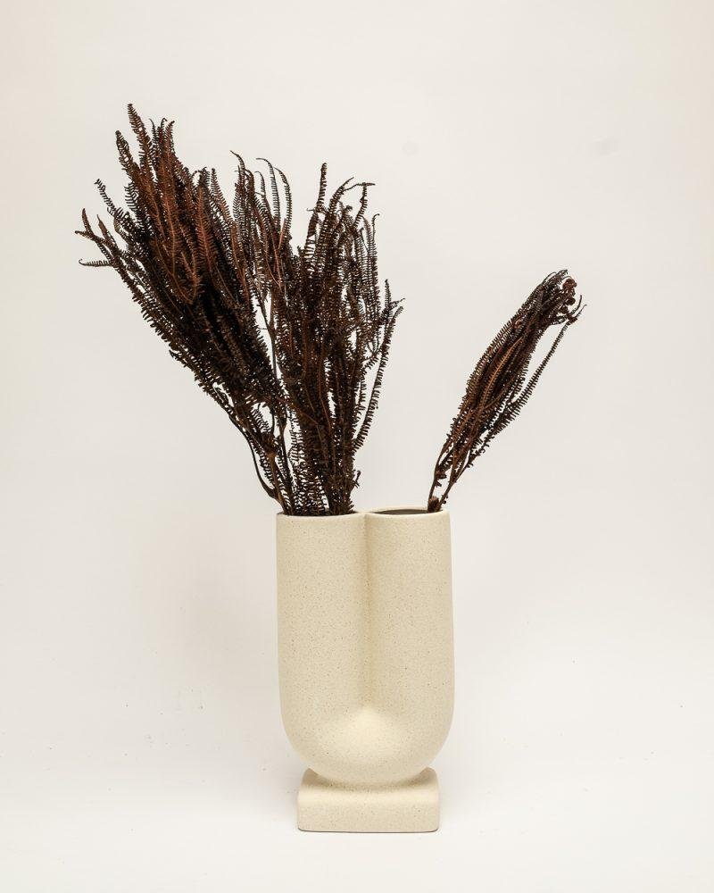 Helecho Fern – Mörkbrun, Flora Grossist, konserverade-blommor