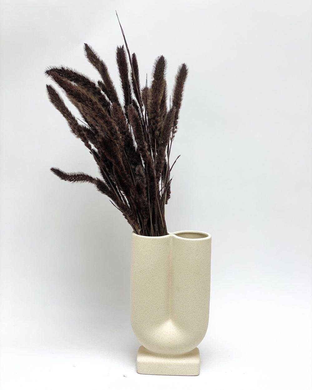 Setaria Mörkbrun – Torkade Blommor, Flora Grossist, torkade-blommor