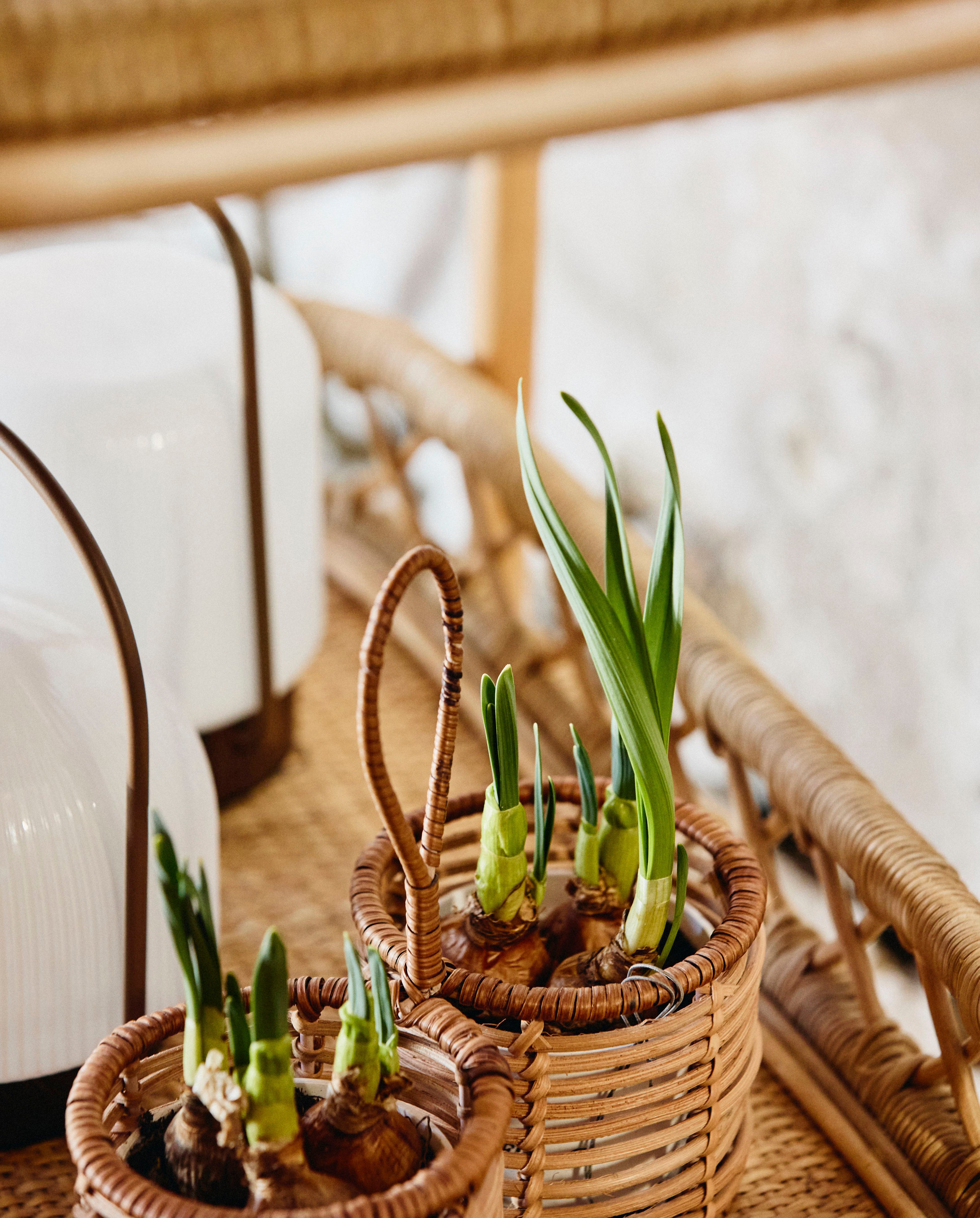 Liri Trolley - Natural, Nordal, möbler