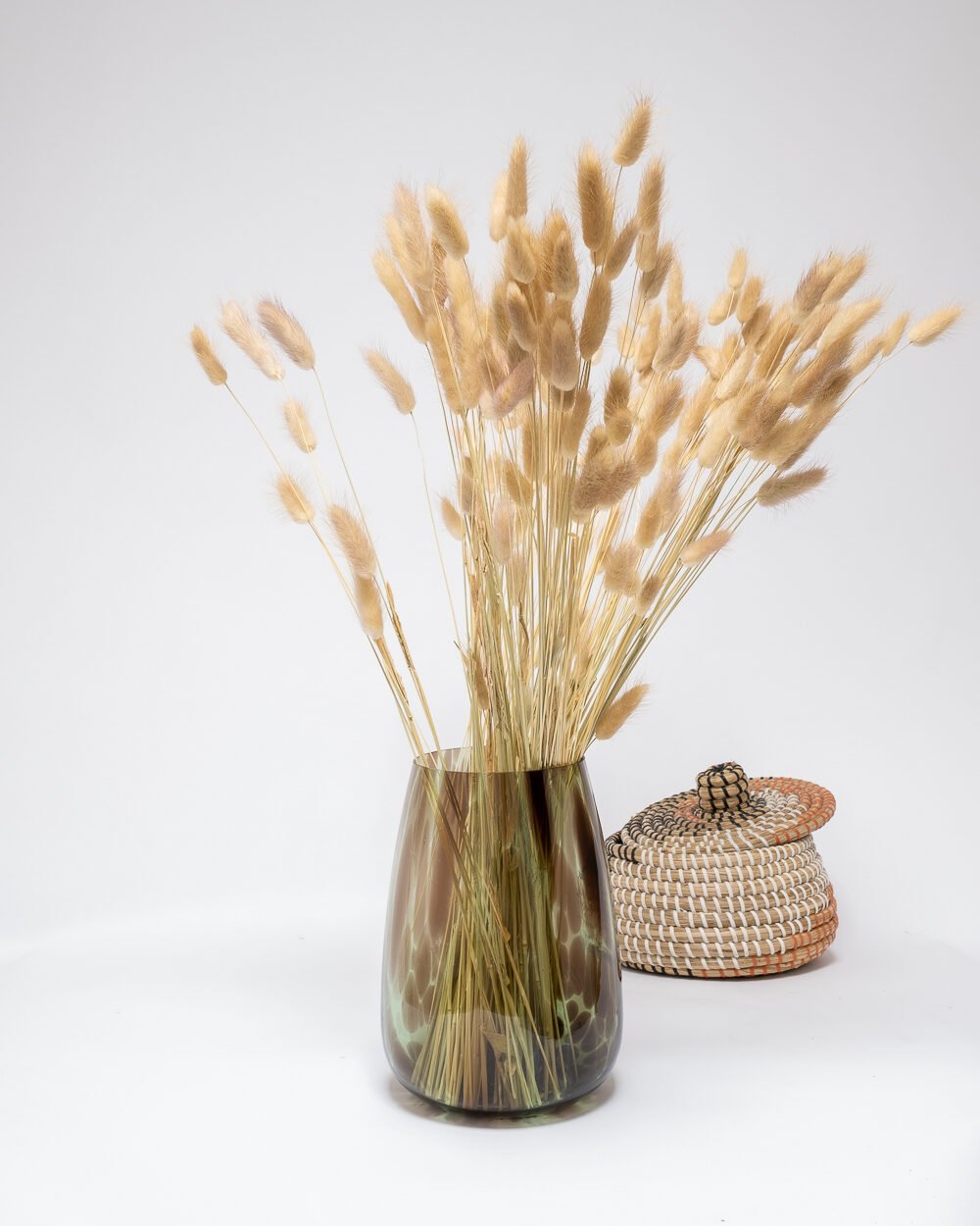 Lagurus Naturell – Torkade Blommor, Flora Grossist, torkade-blommor