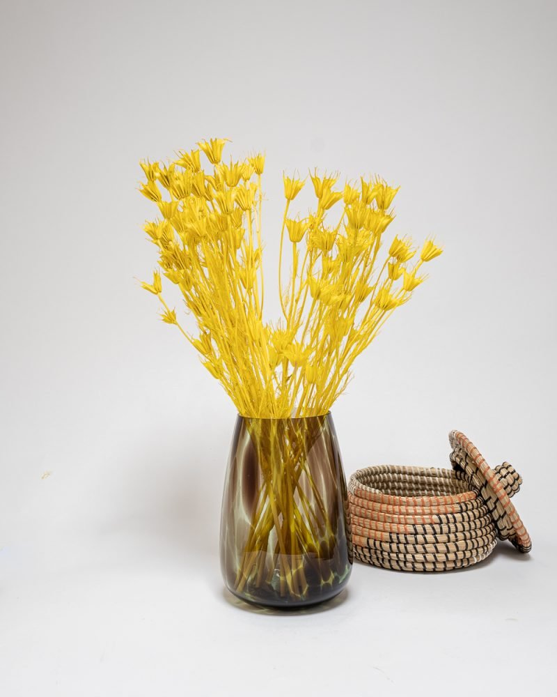 Nigella Orientalis Blekt Gul – 100 Gram, Flora Grossist, torkade-blommor