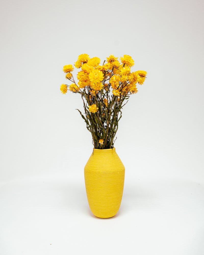 Jätte Eternell Helichrysum Gul – Torkade Blommor, Flora Grossist, torkade-blommor