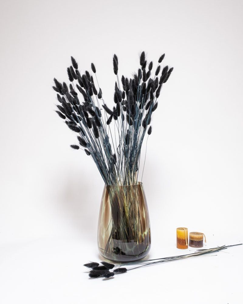 Lagurus Svart 100 Gram-torkade Blommor, Flora Grossist, torkade-blommor