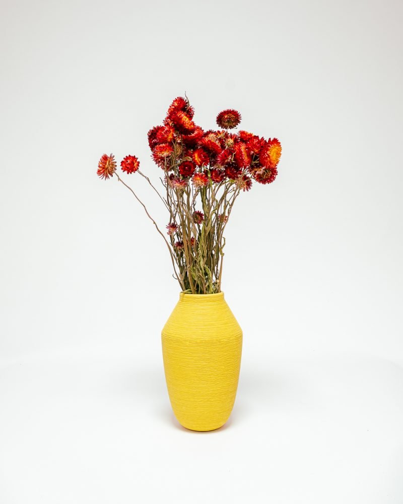 Jätte Eternell Helichrysum Röd – Torkade Blommor, Flora Grossist, torkade-blommor