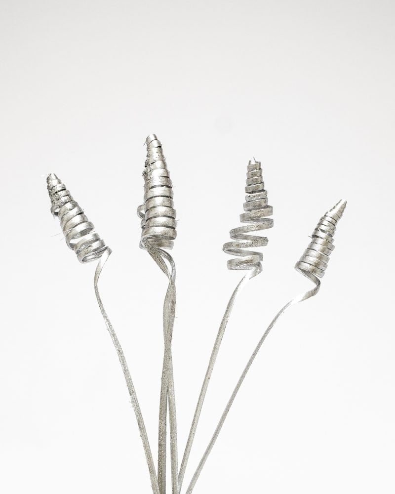 Cane Cone Silver – Torkade Blommor, Flora Grossist, torkade-blommor