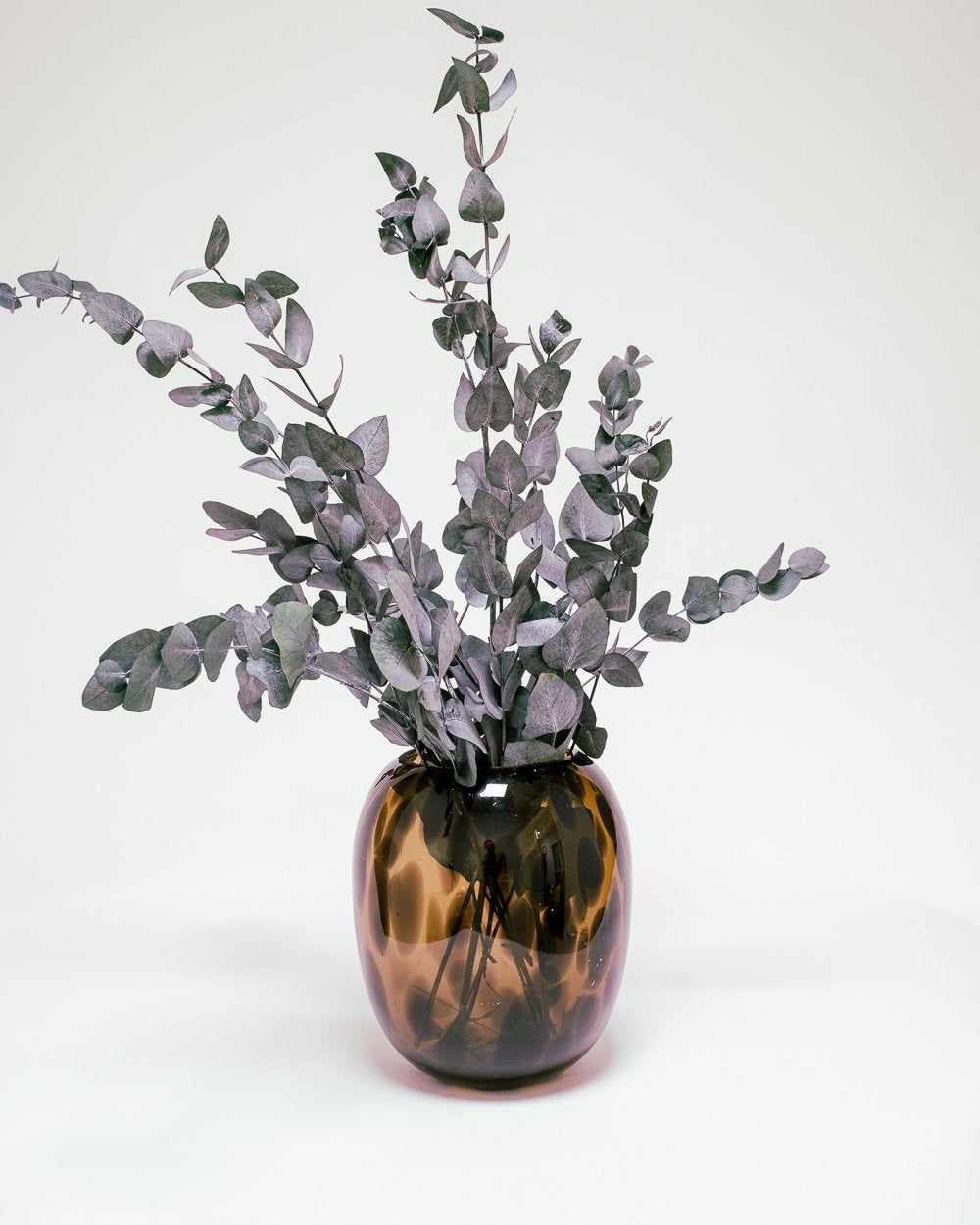 Eucalyptus Cinerea Grön – Konserverade Växter, Flora Grossist, konserverade-blommor