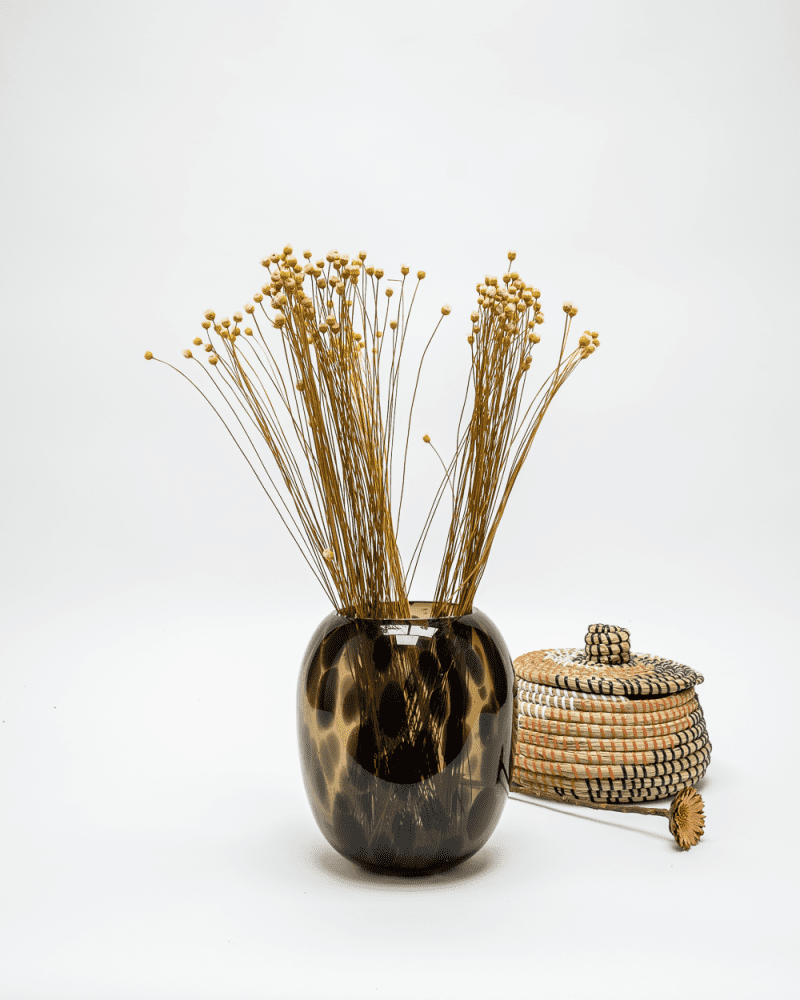 Jazilda Naturell Vit – Torkade Blommor, Flora Grossist, torkade-blommor