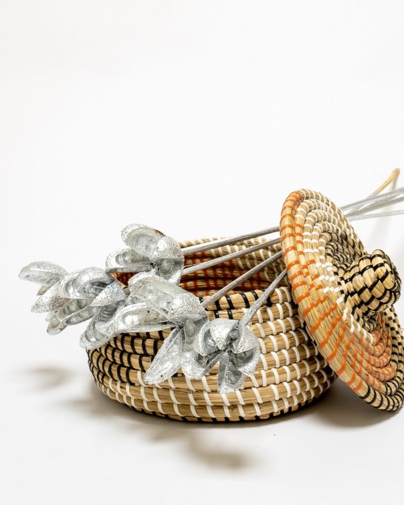 Bomullskapsel Silver – Torkade Blommor, Flora Grossist, torkade-blommor