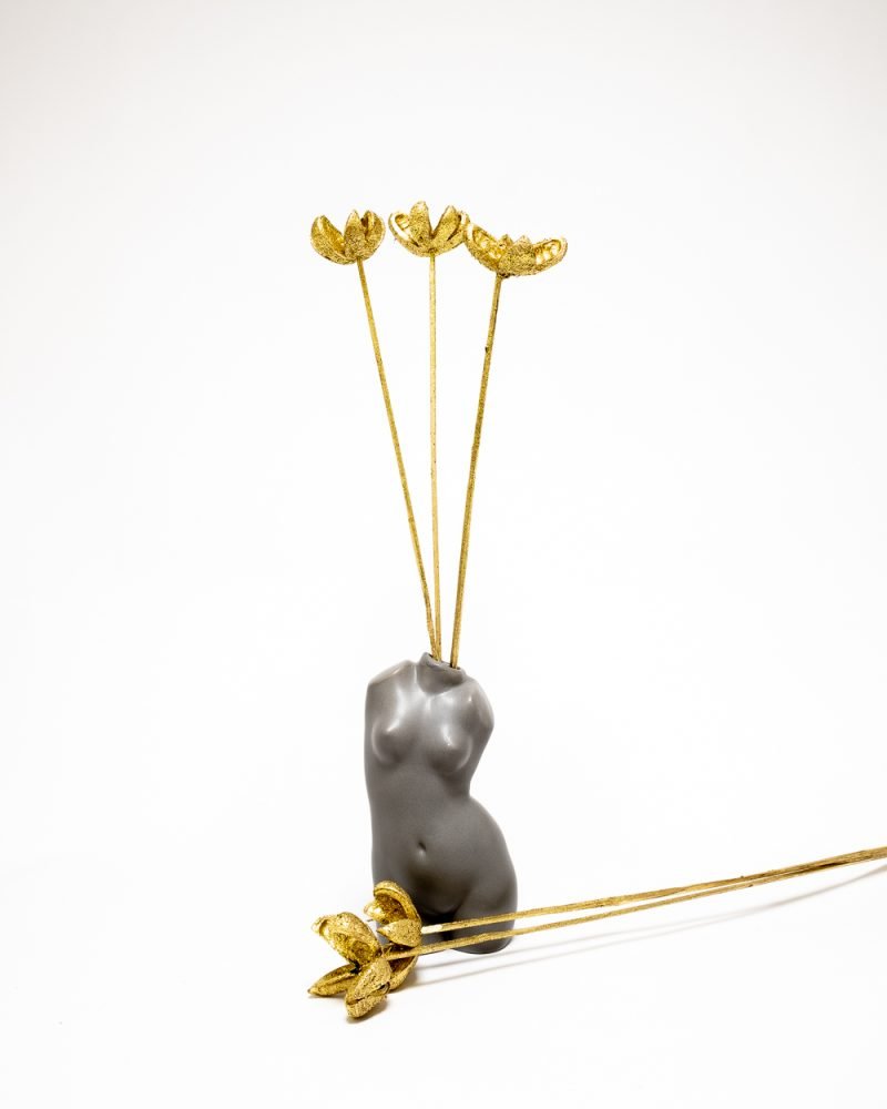 Bomullskapsel Guld – Torkade Blommor, Flora Grossist, torkade-blommor