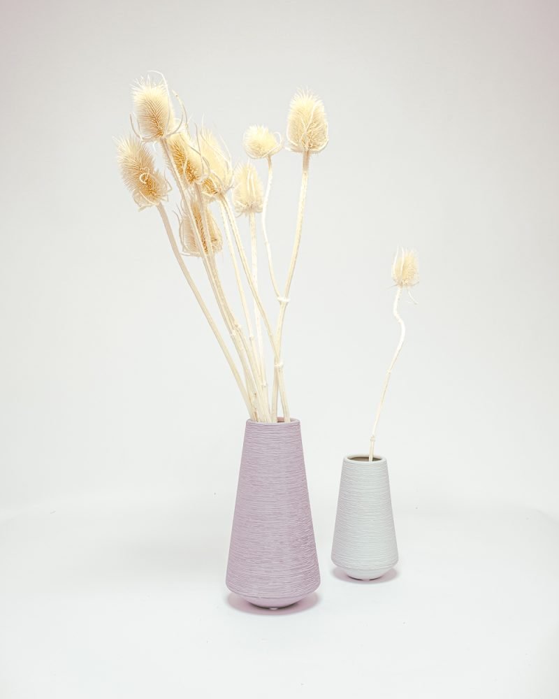 Cardoon Thistle Blekt Vit – Torkade Blommor, Flora Grossist, torkade-blommor