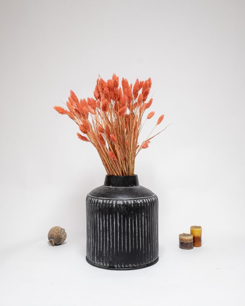 Phalaris Rosa – Torkade Blommor, Flora Grossist, torkade-blommor