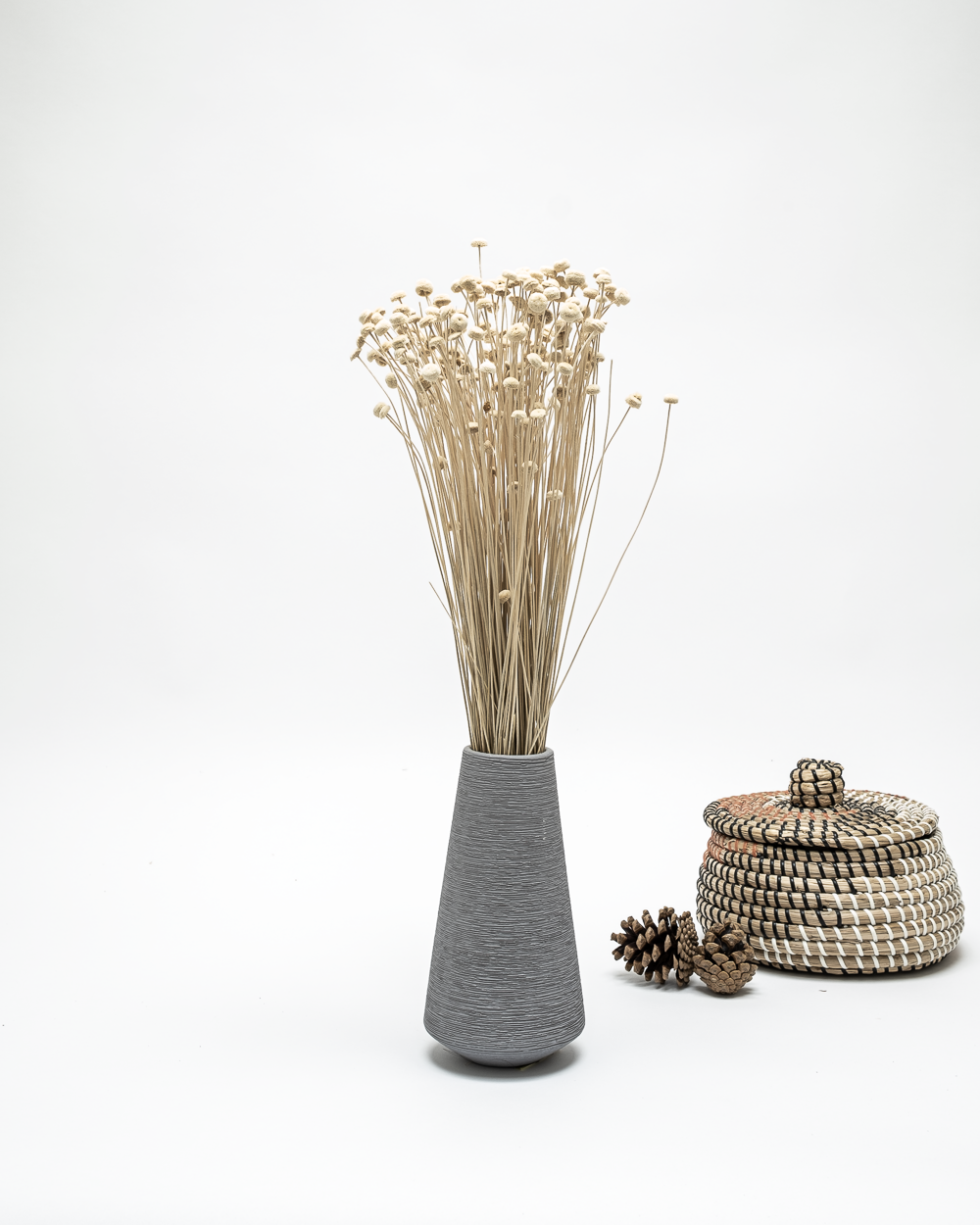 Botao Blekt Vit – Torkade Blommor, Flora Grossist, torkade-blommor