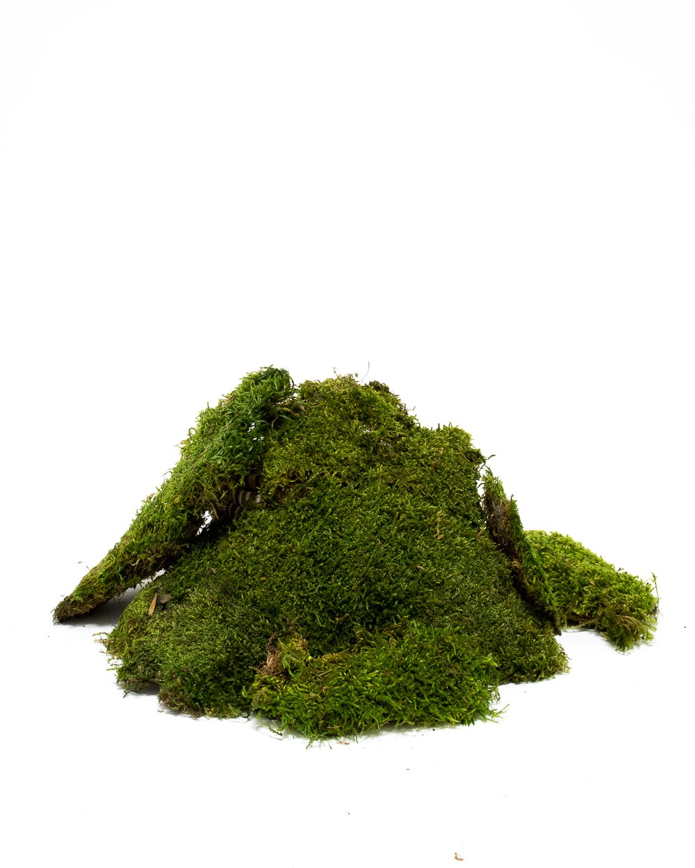 Mossplatta Grön 500 Gram – Konserverade Mossa, Flora Grossist, konserverade-blommor