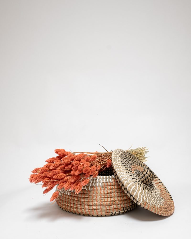 Phalaris Rosa – Torkade Blommor, Flora Grossist, torkade-blommor