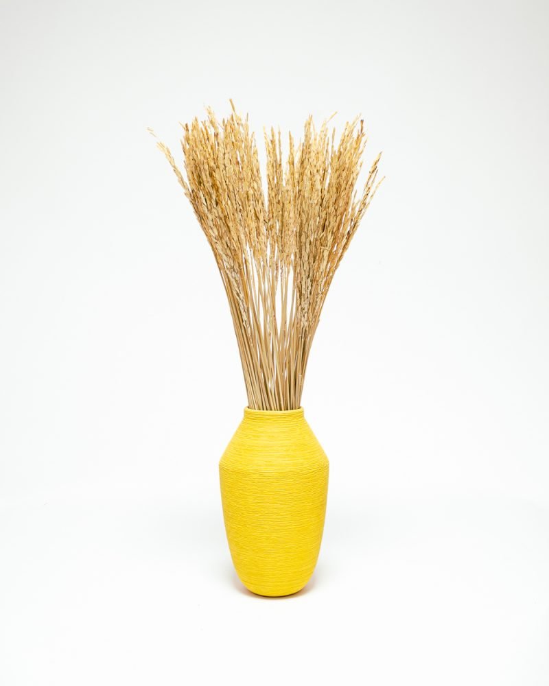 Ris Naturell – Torkade Blommor, Flora Grossist, torkade-blommor