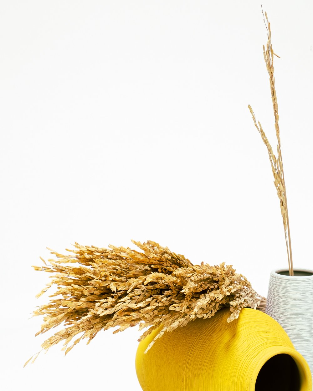 Ris Naturell – Torkade Blommor, Flora Grossist, torkade-blommor