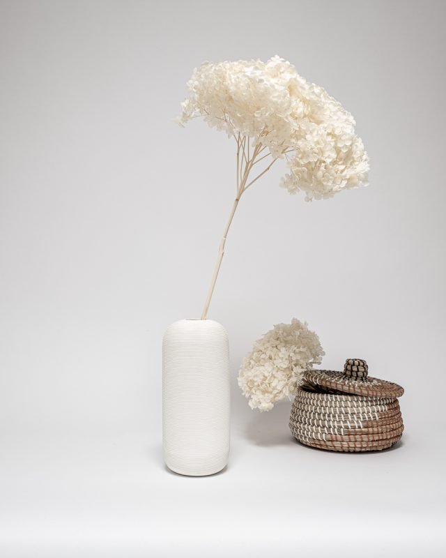 Hortensia Blekt Vit – Super, Flora Grossist, torkade-blommor