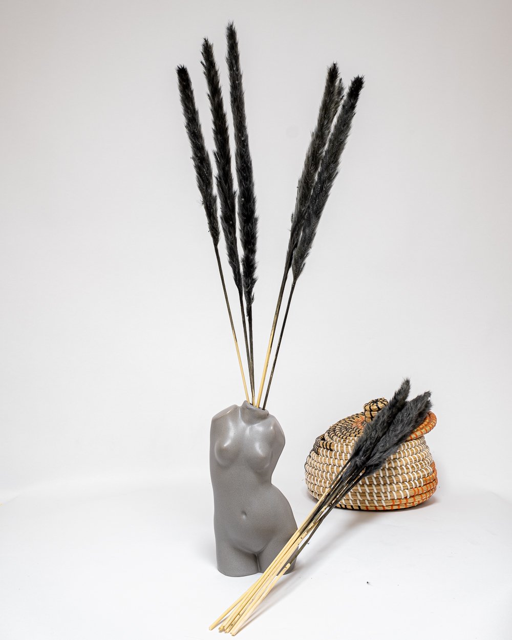 Mini Pampasgräs Svart, Flora Grossist, torkade-blommor